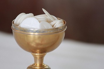 問吓程明聰神父： 1)麵餅（聖體）是什麼物料造成的？ 2)有冇一定規格？ 3)有冇無麩質的麵餅造的聖體？ 4)是不是教會允許的製造商做的。